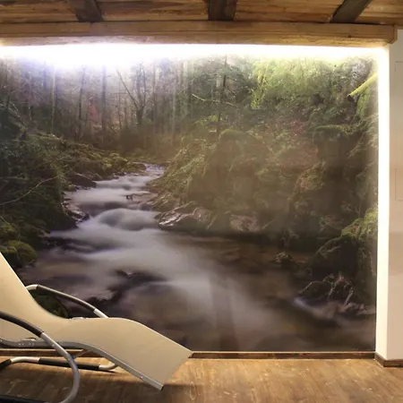 Ottenhoefen - Sauna | Hot Tub