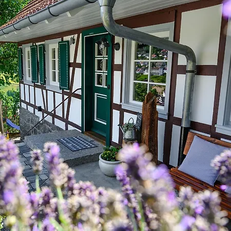 בית נופש Ottenhoefen - Sauna | Hot Tub Ottenhofen im Schwarzwald