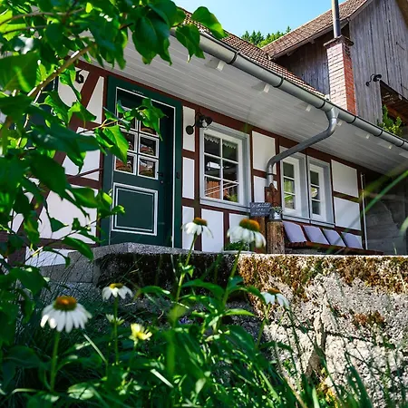 Ottenhoefen - Sauna | Hot Tub בית נופש Ottenhofen im Schwarzwald
