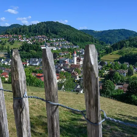 Ottenhoefen - Sauna | Hot Tub בית נופש